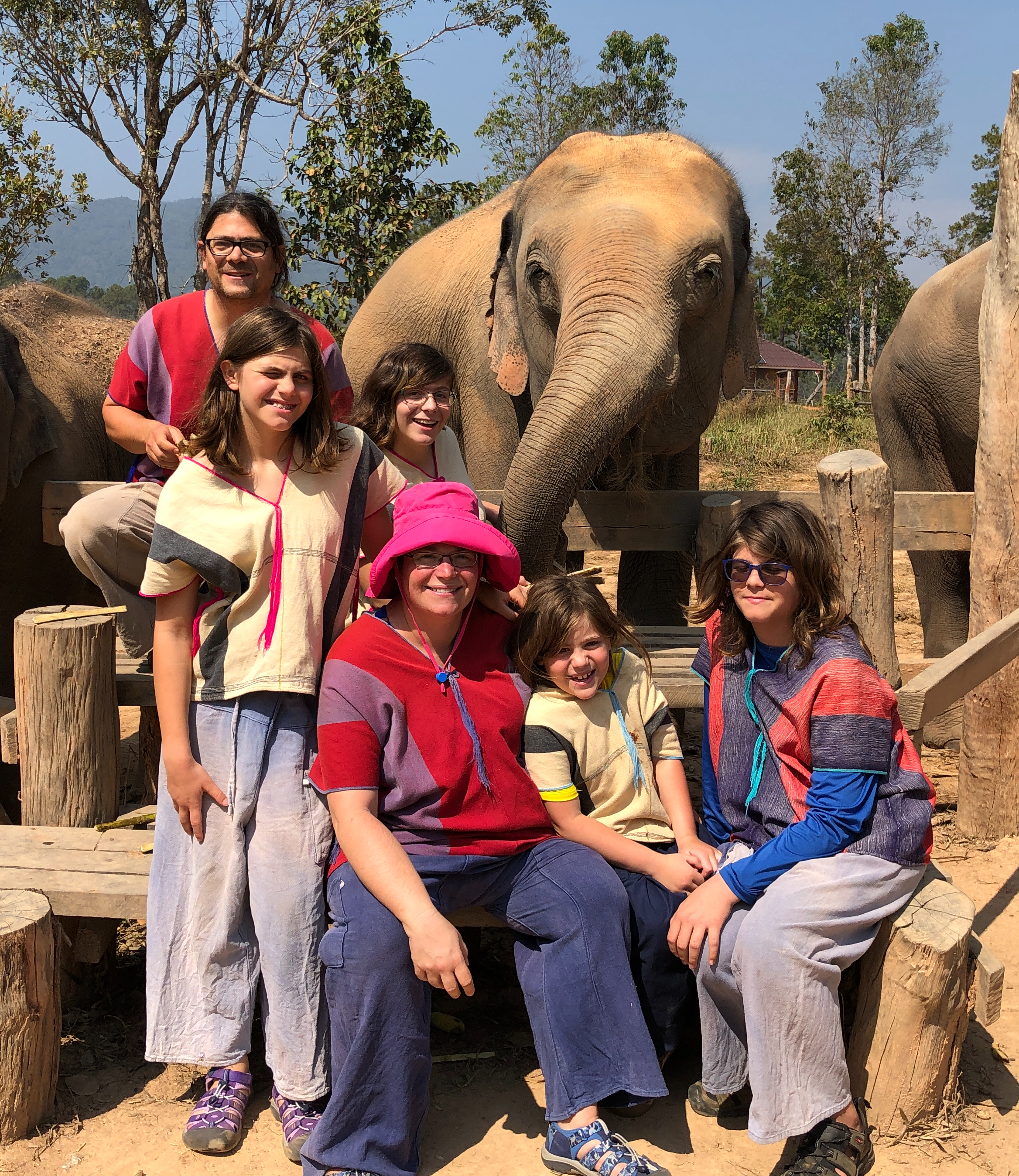 The six of us sitting in front of a fence with an elephant just behind it. His trunk is over the fence and one of us might be patting it.